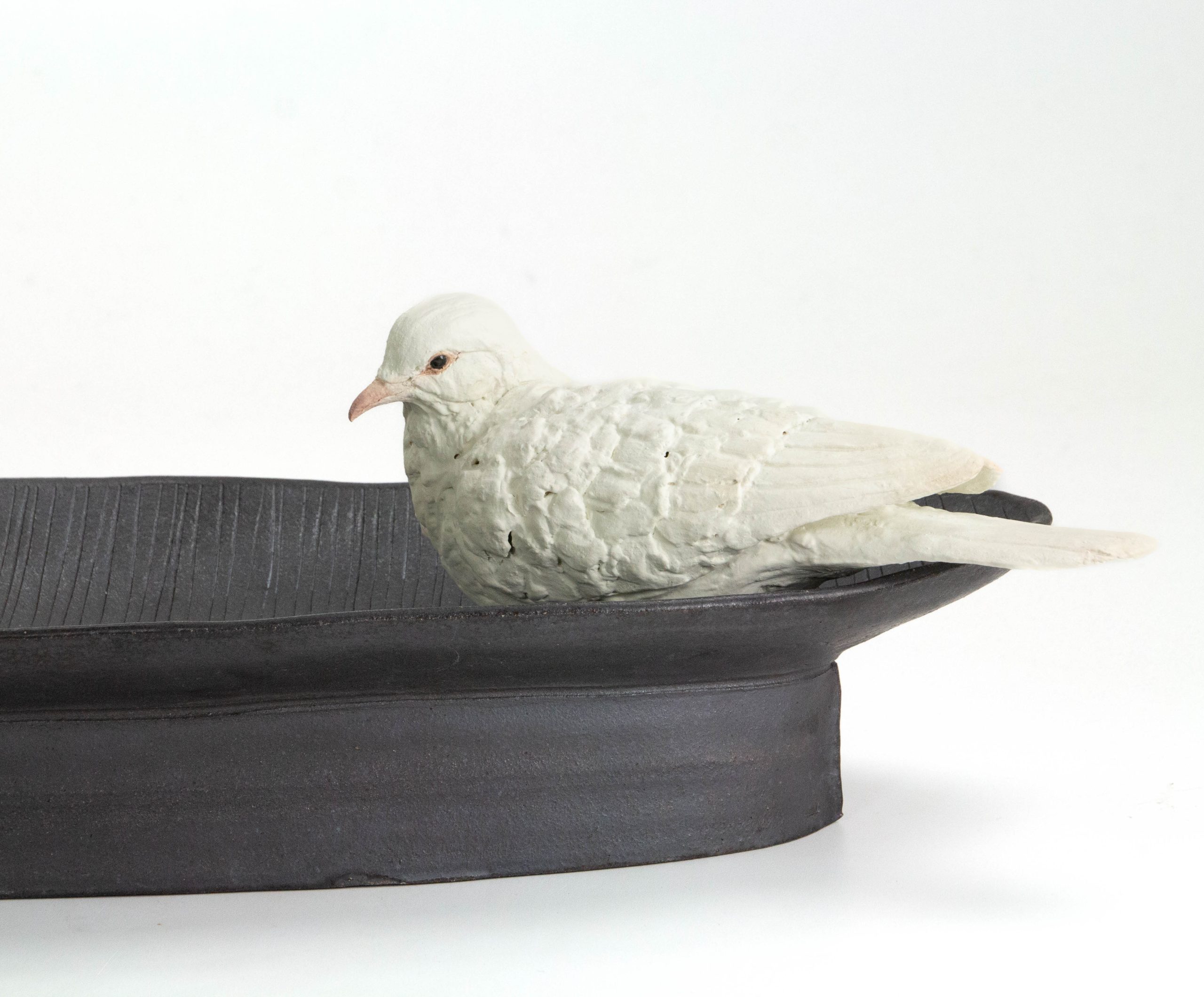 buying-dove-perched-on-tray-on-sale_1.jpg