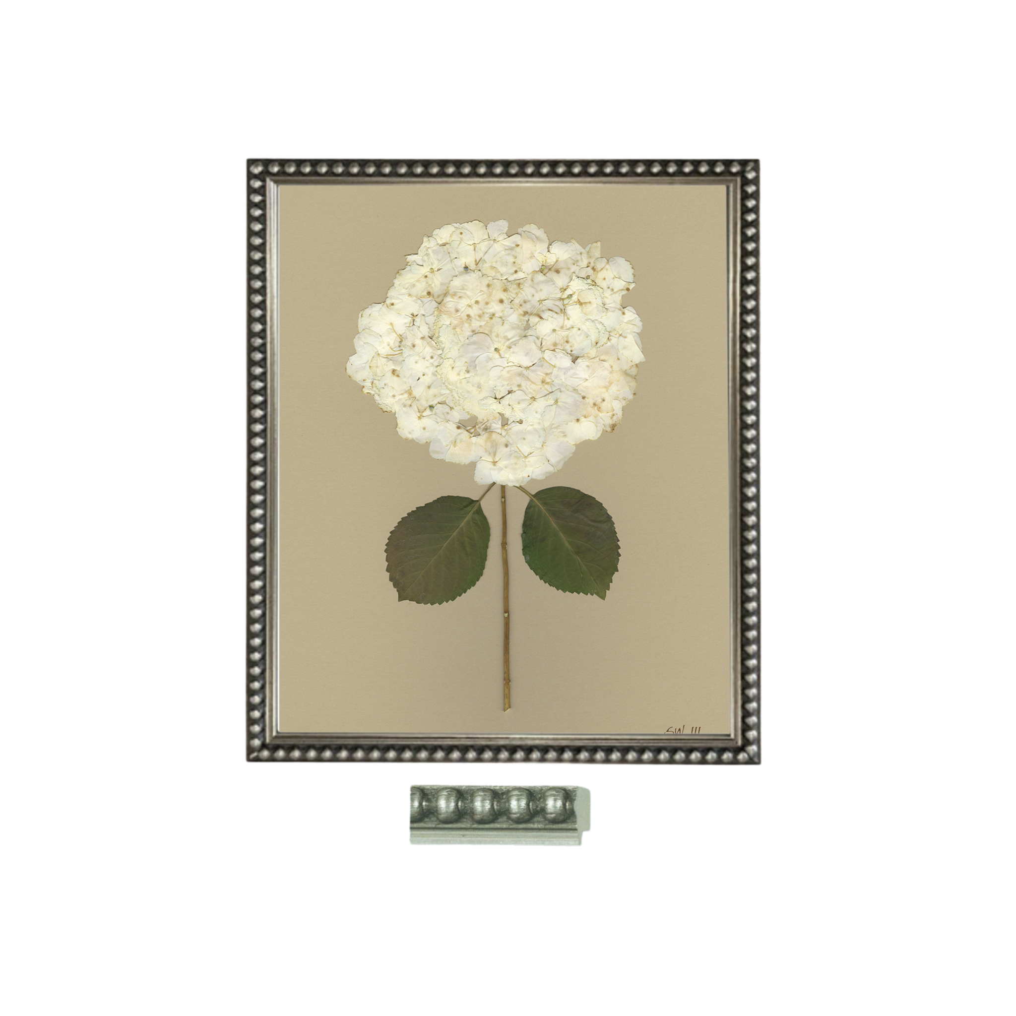 the-best-way-to-buy-preserved-hydrangea-ii-cheap_1.png