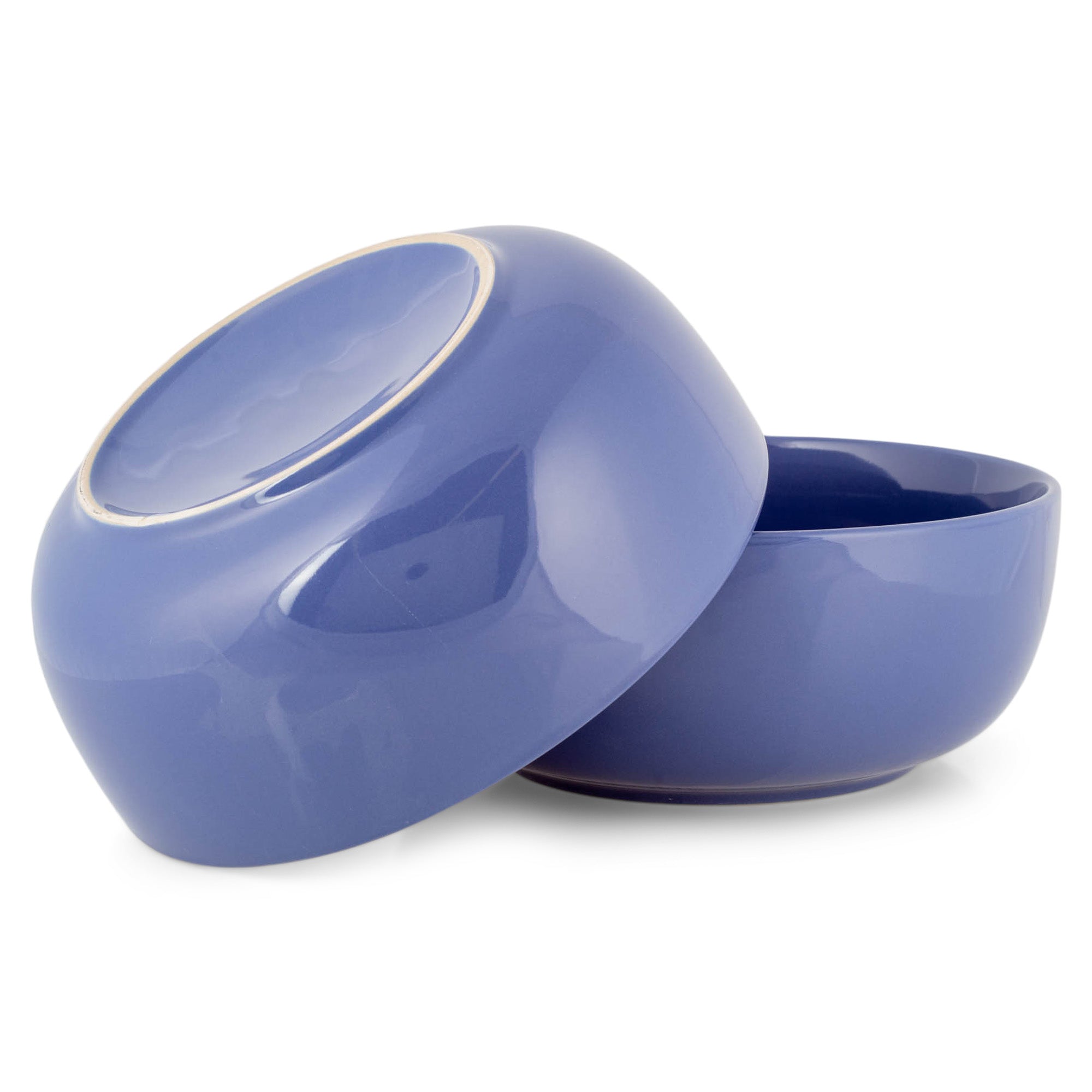 the-authentic-online-store-of-elanze-designs-bistro-glossy-ceramic-8-5-inch-pasta-bowls-set-of-2-purple-on-sale_4.jpg