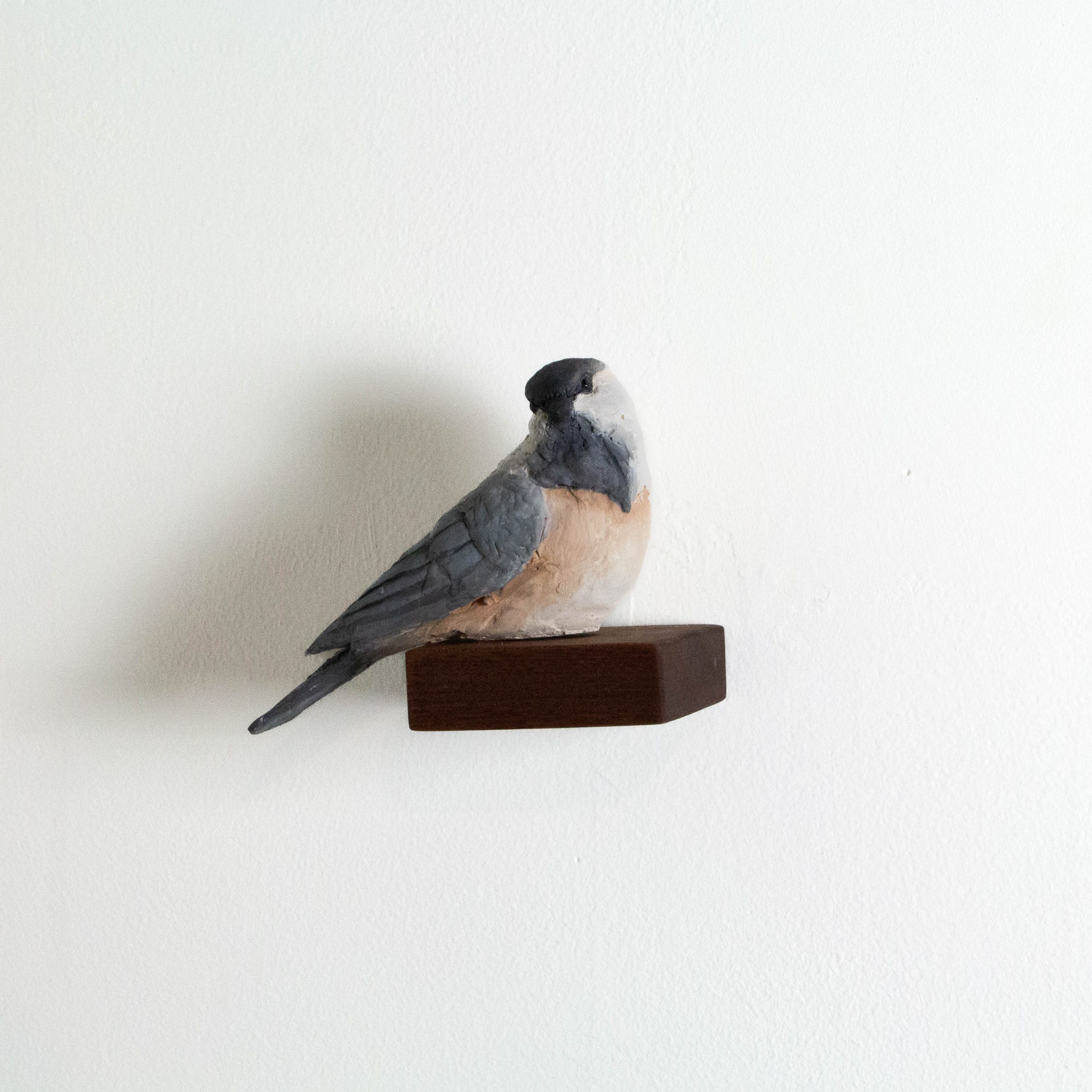 we-sell-the-best-chickadee-hot-on-sale_0.jpg