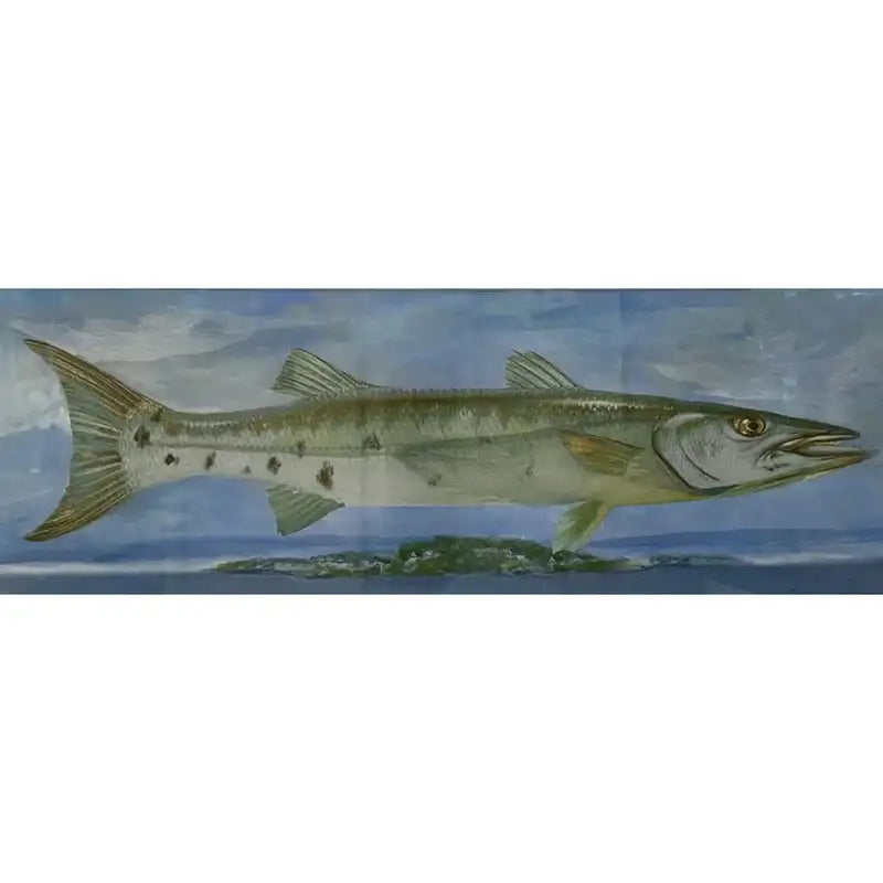 buy-all-your-favorite-barracuda-rising-print-framed-and-signed-on-sale_2.webp