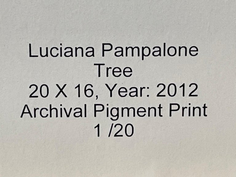 we-make-shopping-for-impressionistic-photography-print-of-a-tree-by-luciana-pampalone-limited-edition-on-sale_10.jpg